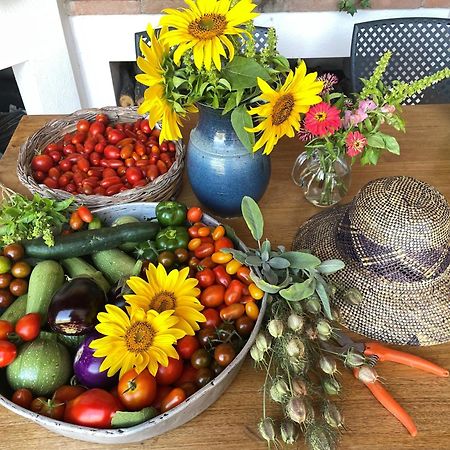 Agriturismo Podere Prasiano Marano sul Panaro Εξωτερικό φωτογραφία