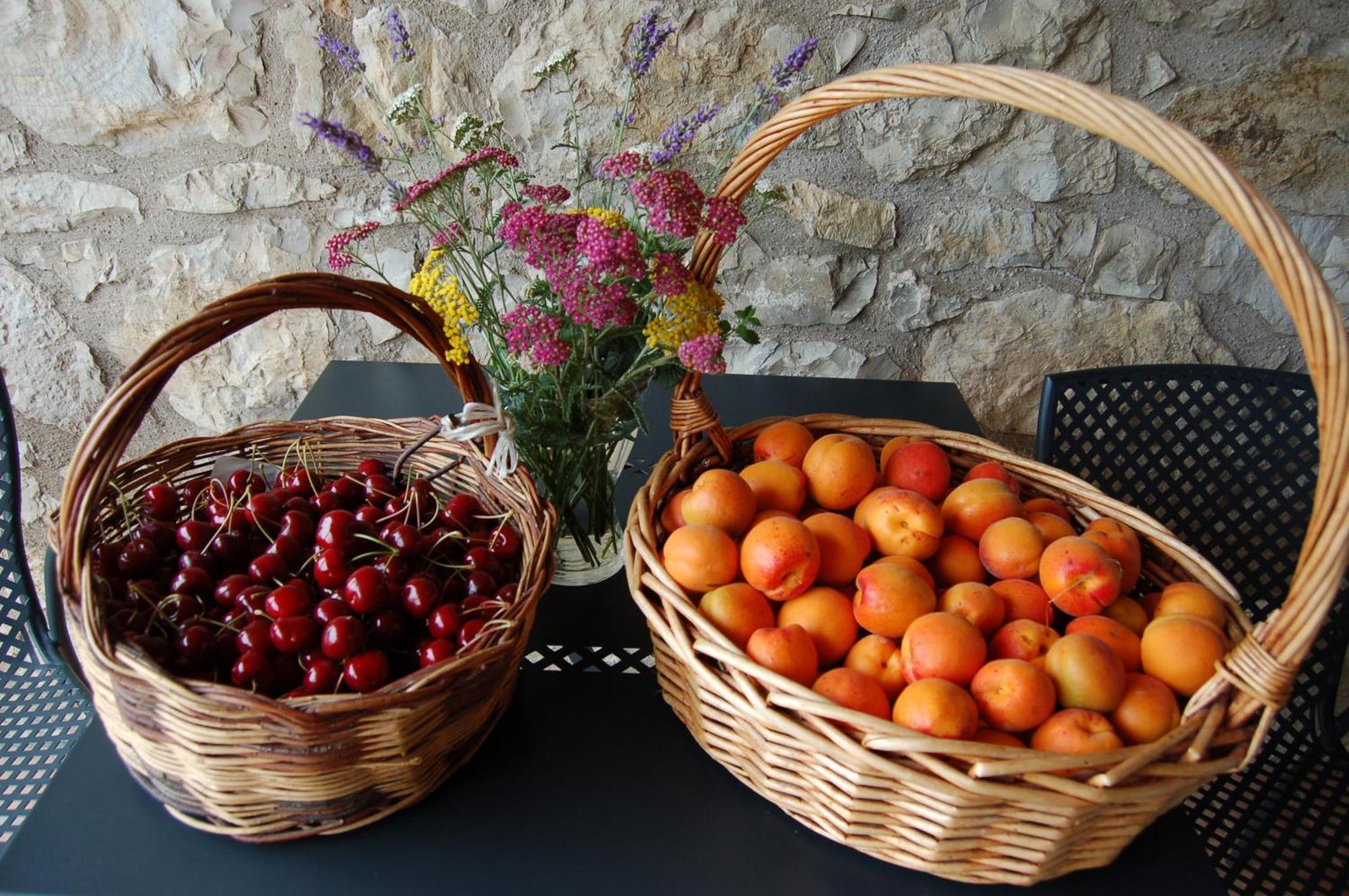 Agriturismo Podere Prasiano Βίλα Marano sul Panaro Εξωτερικό φωτογραφία