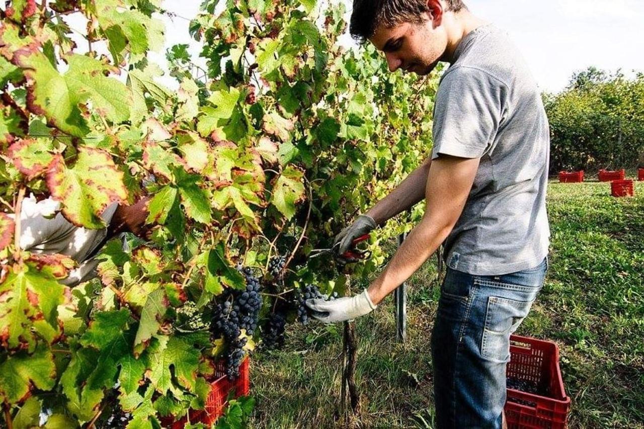 Agriturismo Podere Prasiano Βίλα Marano sul Panaro Εξωτερικό φωτογραφία