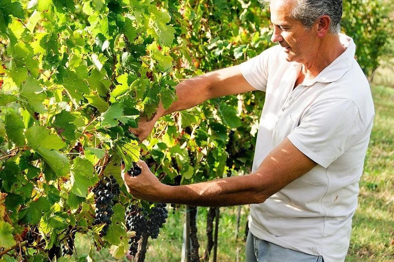 Agriturismo Podere Prasiano Marano sul Panaro Εξωτερικό φωτογραφία